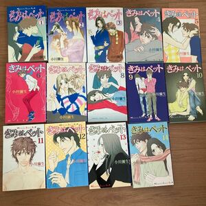 きみはペット　小川彌生　漫画全巻セット　全14巻　講談社 