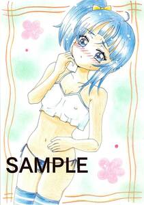 Art hand Auction Hand-drawn illustration A5 Illustration Hirogaru Sky Precure Sora Harewatar Cure Sky Precure Doujin Sora, Comics, Anime Goods, Hand-drawn illustration