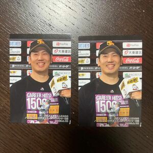 プロ野球チップス2024 チェックリストカード 石川柊太投手 ソフトバンク