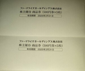 【即決】匿名配送無料　ファーマライズホールディングス 株主優待 5000円(500円券×10枚） 有効期限2025年3月31日