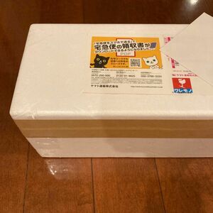森伊蔵 1800ml 芋焼酎 2024年5月到着分 1.8l 新品未開封