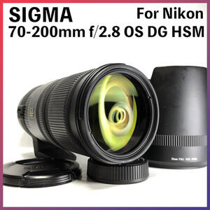 ★174 シグマ SIGMA 70-200mm f2.8 APO DG OS HSM ニコン Nikon Fマウント