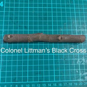 Colonel Littman’s Black Cross穂木　② いちじく穂木 イチジク穂木 