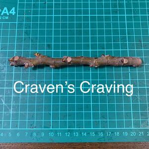 Craven’s Craving穂木　いちじく穂木 イチジク穂木 