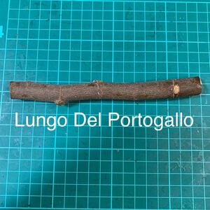 Lungo Del Portogallo穂木 イチジク穂木 いちじく穂木 