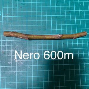 Nero 600m穂木　イチジク穂木 いちじく穂木 