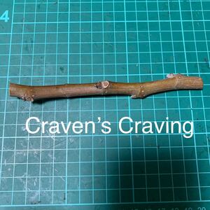 Craven’s Craving穂木 いちじく穂木 イチジク穂木 