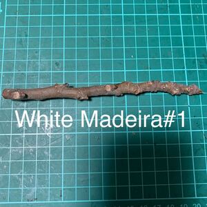 White Madeira#1穂木　イチジク穂木 いちじく穂木 