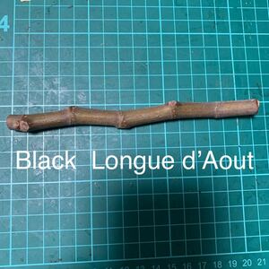 Black Longue d’Aout穂木　イチジク穂木 いちじく穂木 