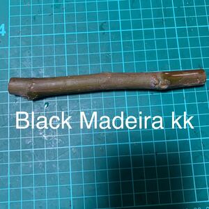 Black Madeira kk穂木　② イチジク穂木 いちじく穂木 