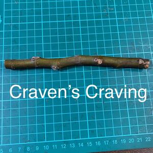 Craven’s Craving穂木　イチジク穂木 いちじく穂木 