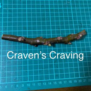 Craven’s Craving穂木　いちじく穂木 イチジク穂木 