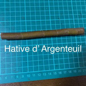 Hative d* Argenteuil. tree ichi axis . tree fig . tree 