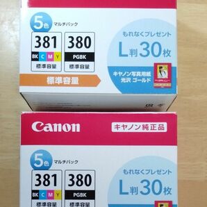 キヤノン Canon 純正品 インクカートリッジ 381/380 ５色マルチパック 標準容量 未使用 期限切れ　2個セット