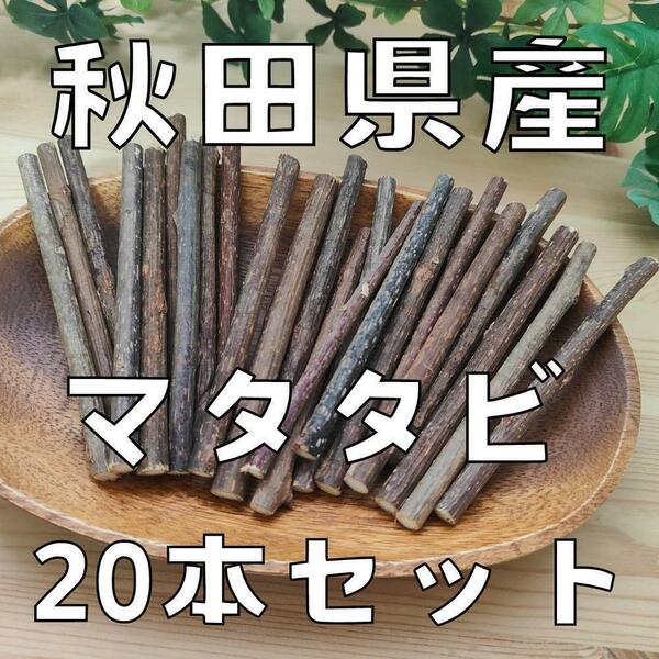 秋田県産 またたび20本超セット[ マタタビ]防腐剤不使用・天然モノ 