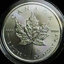 【カナダ大型銀貨】(メープル 1オンス純銀 2022年銘 直径38mm)_画像1
