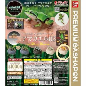 いきもの大図鑑アドバンス アマガエル02 アルビノイエロー