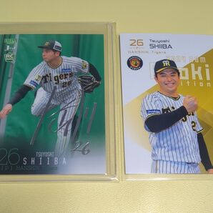 BBM ルーキーカード阪神タイガース