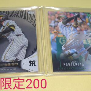 2024 阪神タイガース