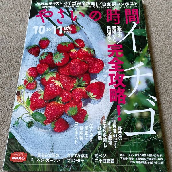 【送料込み】やさいの時間　2022年10-11月号