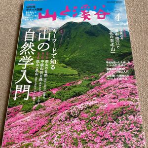 【送料込み】山と渓谷　2020年4月号