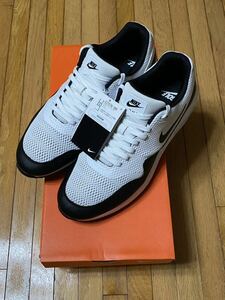 NIKE ナイキ AIR MAX 1 G CI7576-100 30cm