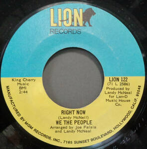 【SOUL 45】WE THE PEOPLE - RIGHT NOW / YOU MADE ME (s240525040)