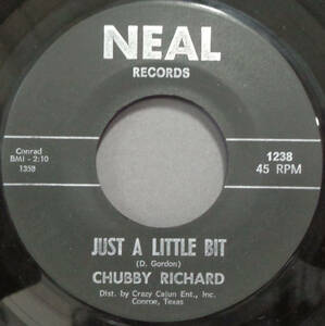 【SOUL 45】CHUBBY RICHARD - JUST A LITTLE BIT / MY ONLY LOVE (s240509015) 