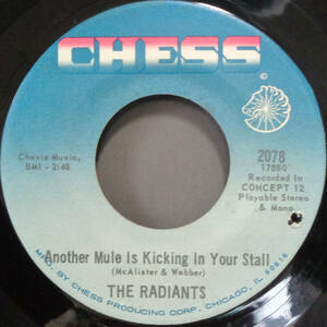 【SOUL 45】RADIANTS - ANOTHER MULE IS KICKING IN YOUR STALL / BOOK OF LOVE (s240520007) 