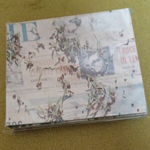 CD+Blu-ray盤 Official髭男dism CD+Blu-ray/Editorial 21/8/18発売 