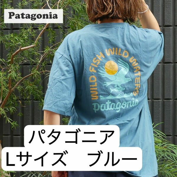 ブルーLサイズ パタゴニア patagonia Tシャツ 春夏