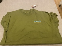 【新品未使用】Patagonia　パタゴニア　メンズ　Tシャツ　Lサイズ　※海外限定色、レア_画像1