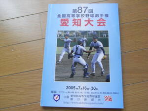 第87回 全国高校野球選手権　愛知大会/2005年　甲子園