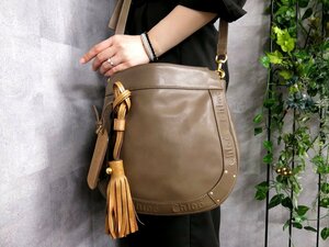 ●超美品●Chloe クロエ●エデン●エンボスロゴ●カーフ レザー 本革●ショルダー バッグ●ブラウン●ゴールド金具●斜め掛け●Js46787