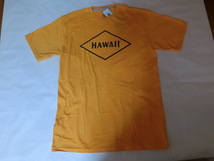 激レア USA購入 【VOLCOM】ボルコム 【GIVEBACK SERIES】【HAWAII VOLCOM STONE 】ロゴプリントTシャツUS Lサイズ イエロー_画像2