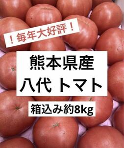 ！訳あり激安！ 熊本県産 塩混じりトマト 約8kg程度