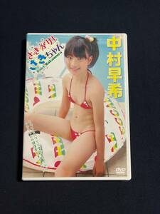 中村早希　DVD　「さきがけ！さきちゃん」　　イメージクリエーター　
