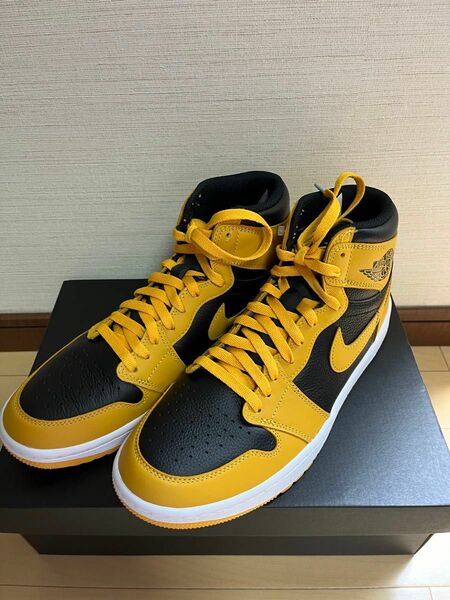 NIKE AIR JORDAN 1 HIGH G 27.5cm