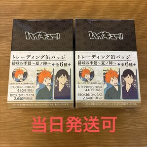 【当日発送可】ハイキュー 排球四季景 夏ノ陣 トレーディング缶バッジ 2box