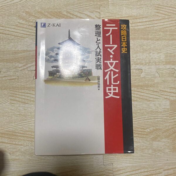 攻略日本史　テーマ・文化史　整理と入試実 山野井　功夫　著