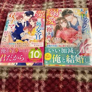 愛に目覚めた外交官は双子ママを生涯一途に甘やかす （ベリーズ文庫　わ１－２９） 若菜モモ／著