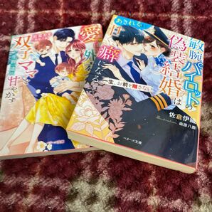 敏腕パイロットとの偽装結婚はあきれるほど甘くて癖になる　一生、お前を離さない （ベリーズ文庫　さ２－２６） 佐倉伊織／著