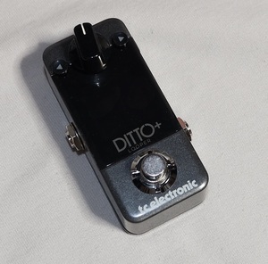  TC ELECTRONIC Ditto+ Looper ルーパー 新品