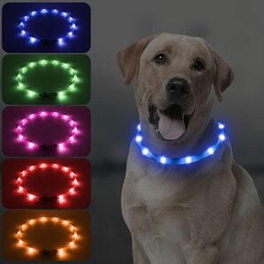 光る犬の首輪 LED 充電式 夜犬の散歩のための犬首輪ライト 調節可能 シリコン, ブルー 小型犬中型犬大型犬