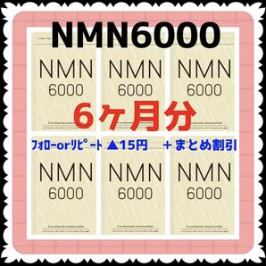 【6袋@1425 計8550】NMN6000★シードコムス●6ヶ月