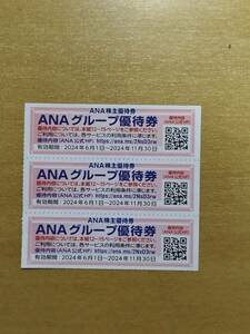 01－ANAグループ株主優待券 3枚 有効期限：2024年6月1日～2024年11月30日