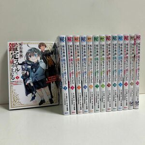 転生貴族、鑑定スキルで成り上がる　1〜14巻　全巻セット　まとめ売り　全巻 転生貴族鑑定スキルで成り上がる全巻