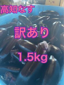 【訳あり】高知県なす　1.5kg