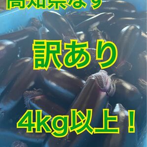 【訳あり】高知県なす　4kg以上！