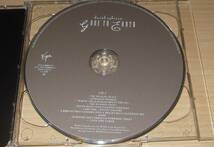 デヴィッド・シルビアン DAVID SYLVIAN / GONE TO EARTH /デジタルリマスター2CD_画像6